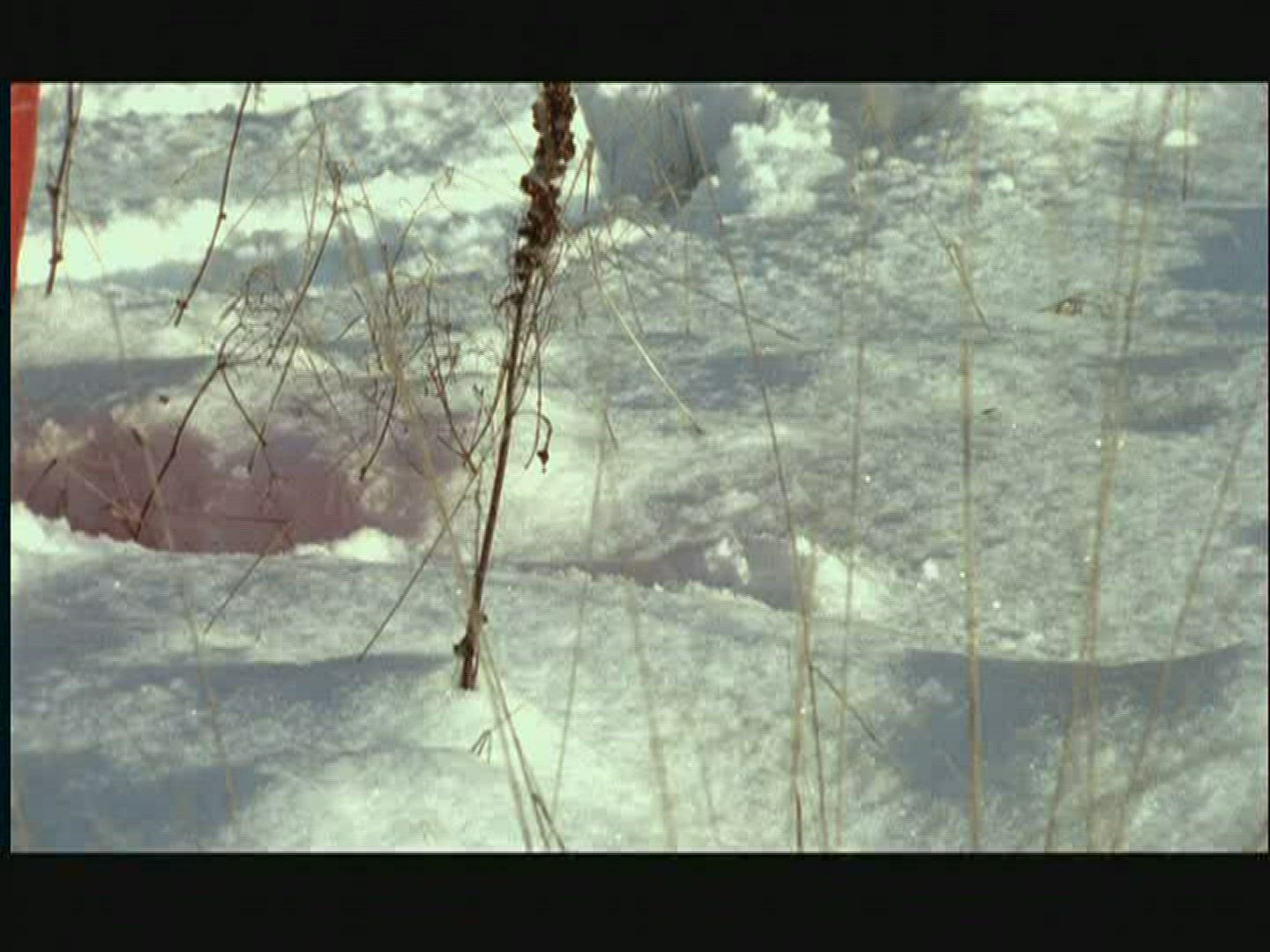 737351020 / People / Walking / Deep Snow / Sweden