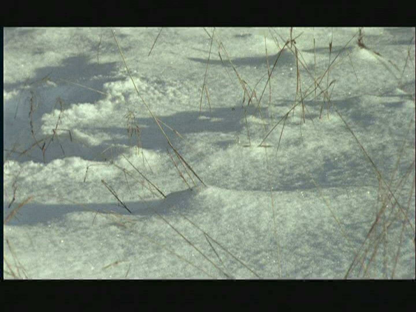 473845157 / People / Walking / Deep Snow / Sweden