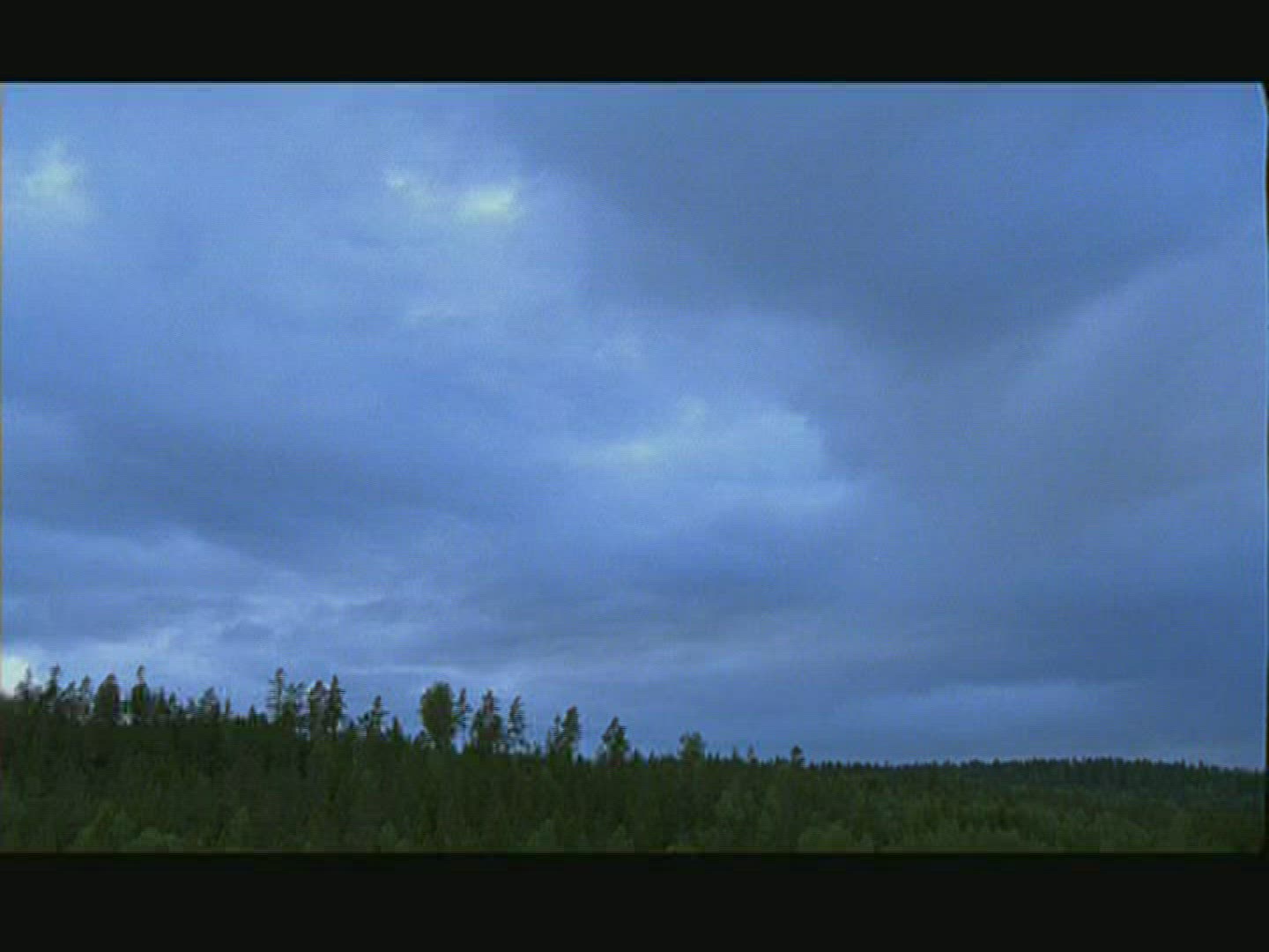 293757422 / Coniferous Forest / Landscape / Sweden