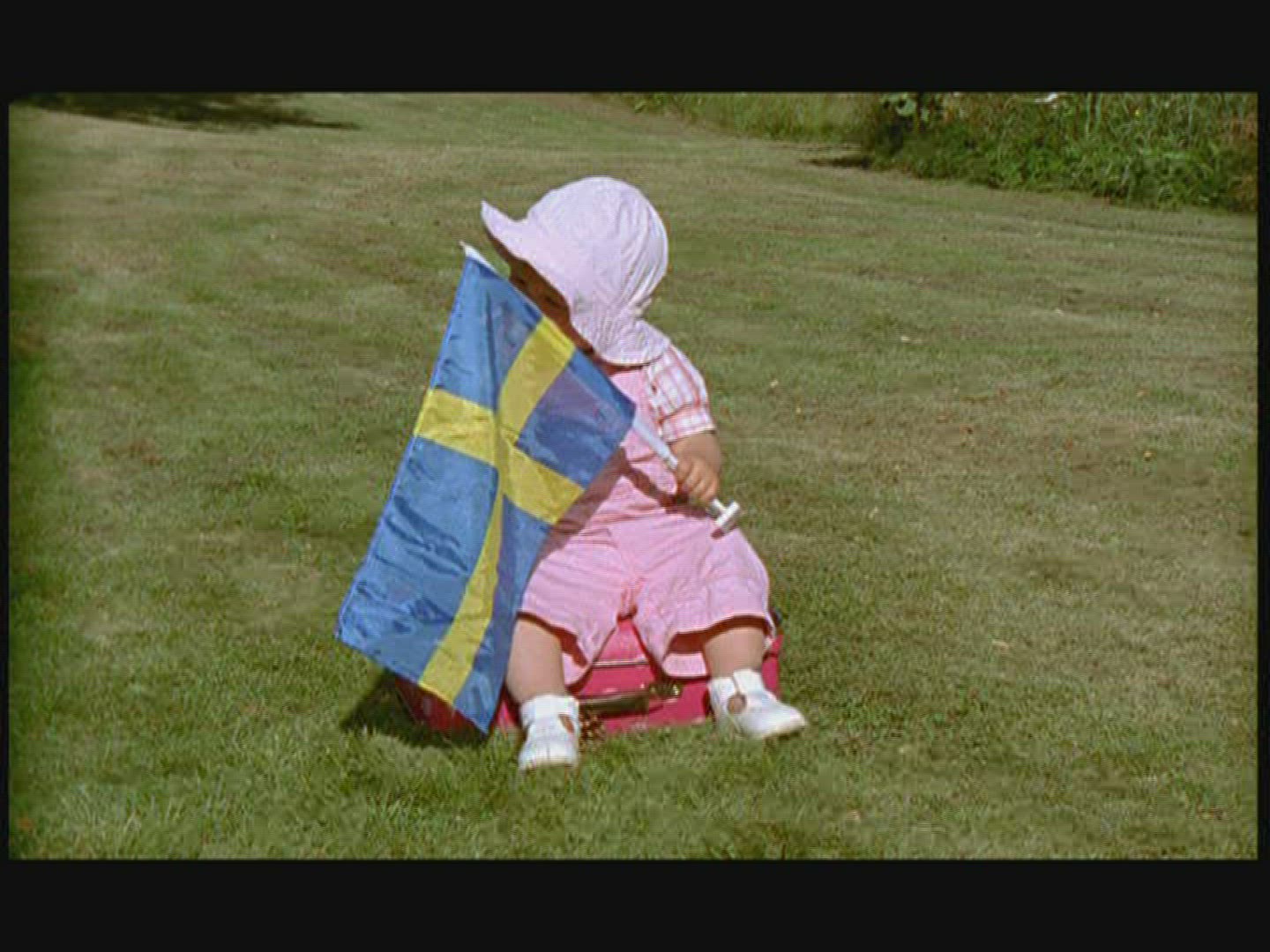 351176564 / Baby / Flag / Staging