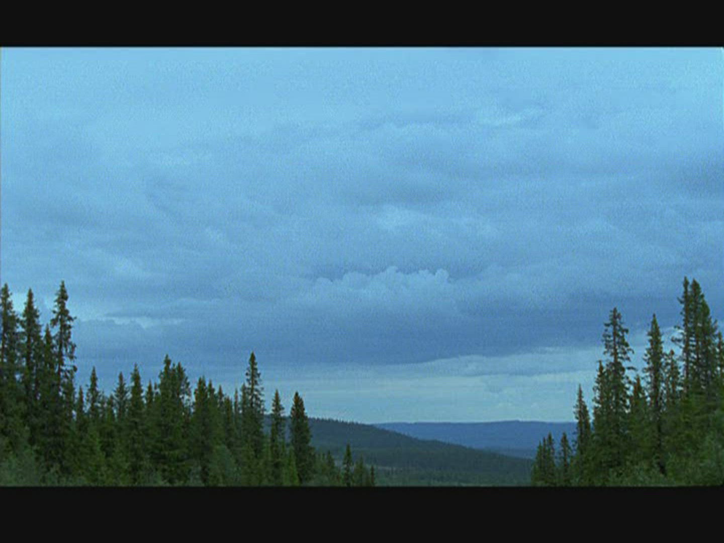 443044494 / Coniferous Forest / Sweden