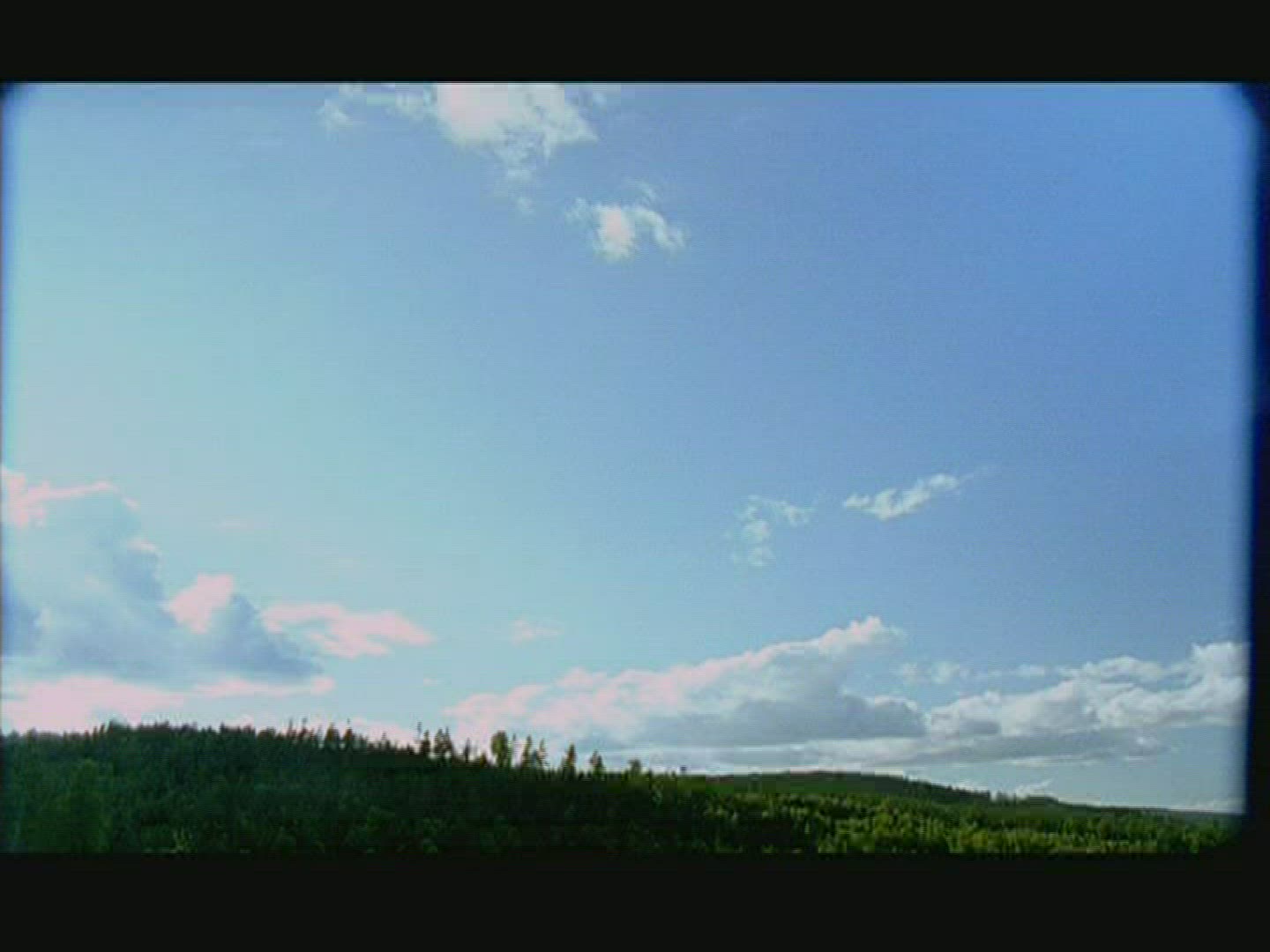 166027583 / Coniferous Forest / Landscape / Sweden
