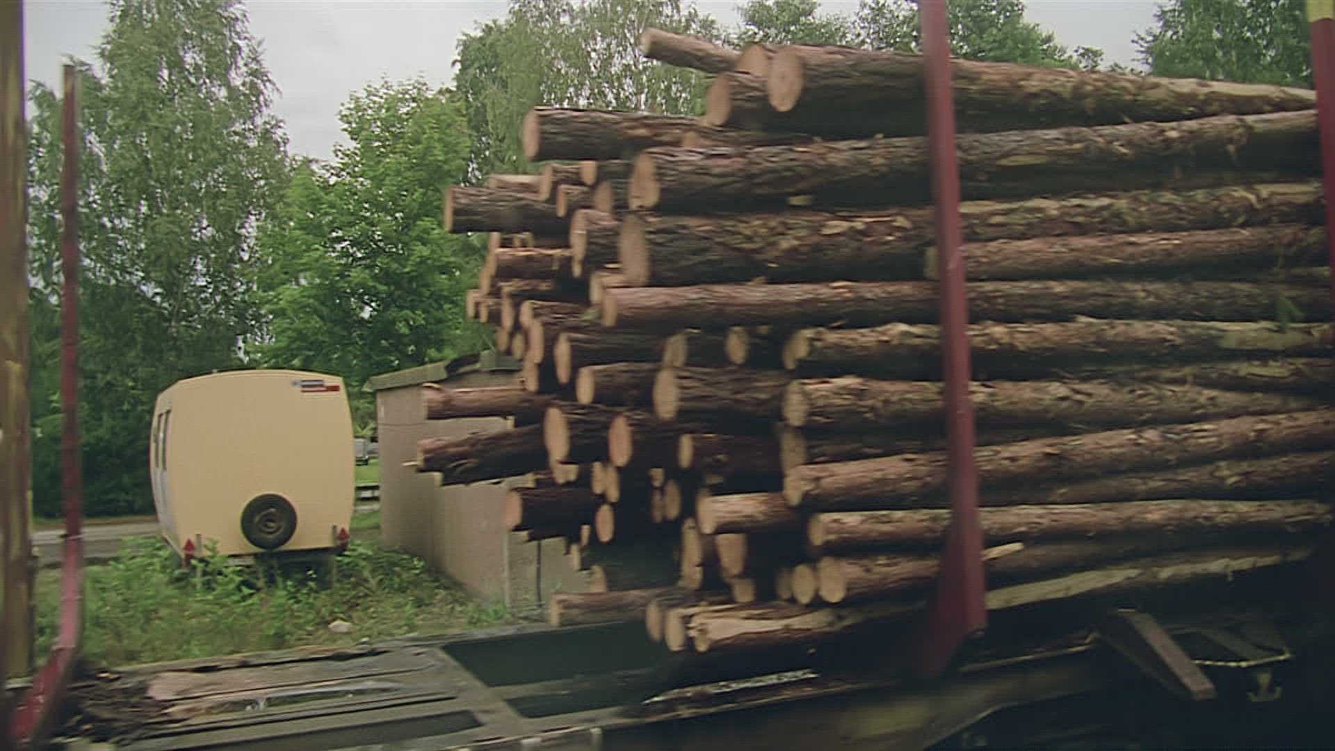 716863552 / Goods Train / Stem Wood