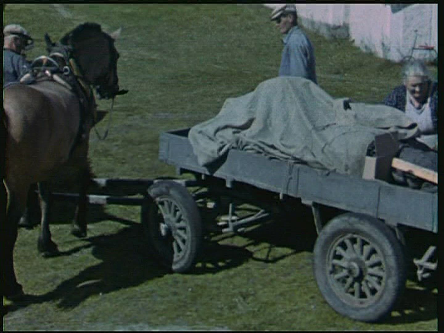 708690163 / Farm / Agribusiness / Sweden / 1947-1948