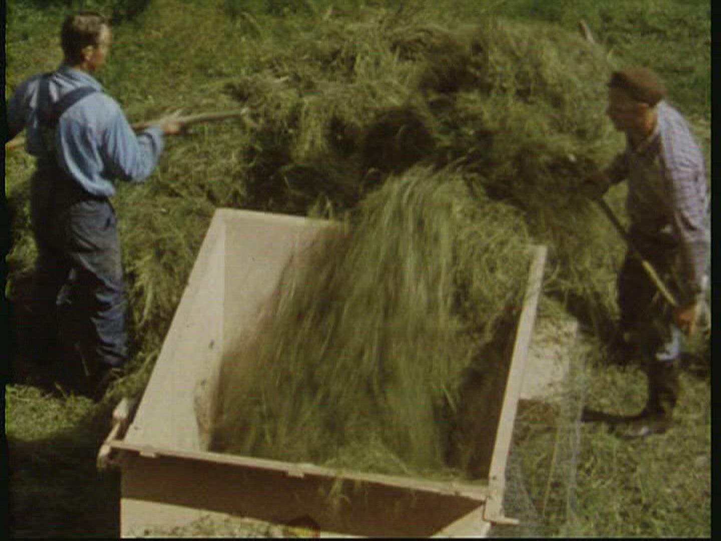171612233 / Hay Harvest / Agribusiness / Sweden / 1947-1948