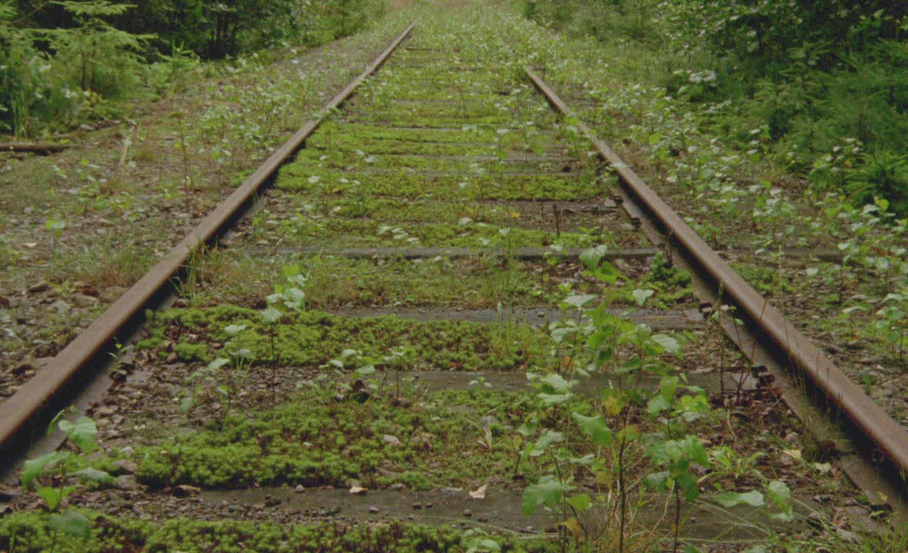 580294791 / Railway Track / Disused
