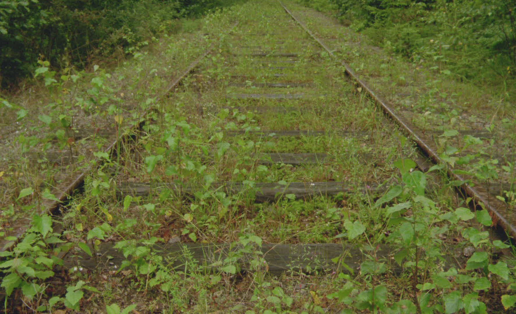 921839011 / Railway Track / Disused