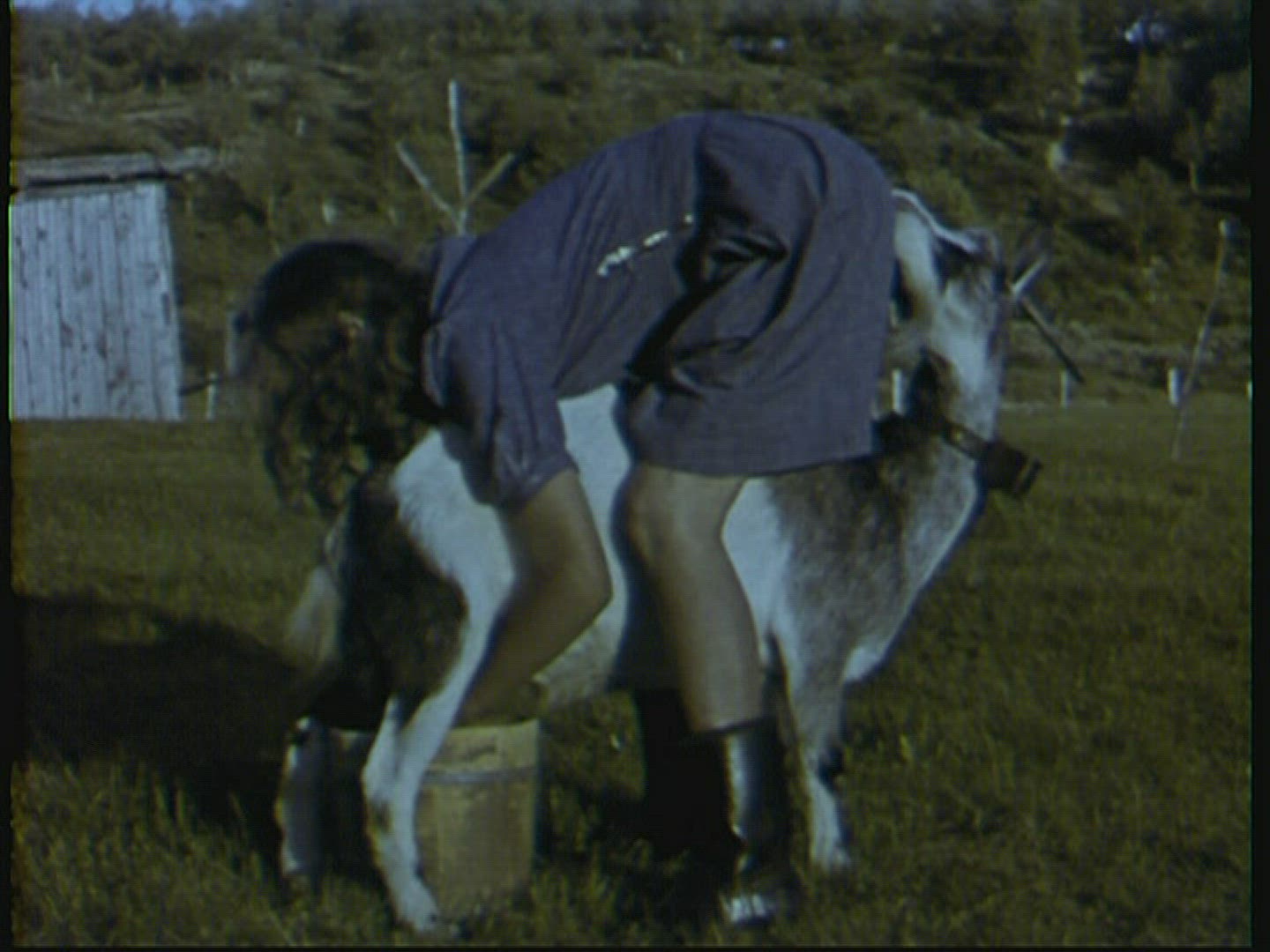 762940096 / Farm / Agribusiness / Sweden / 1947-1948