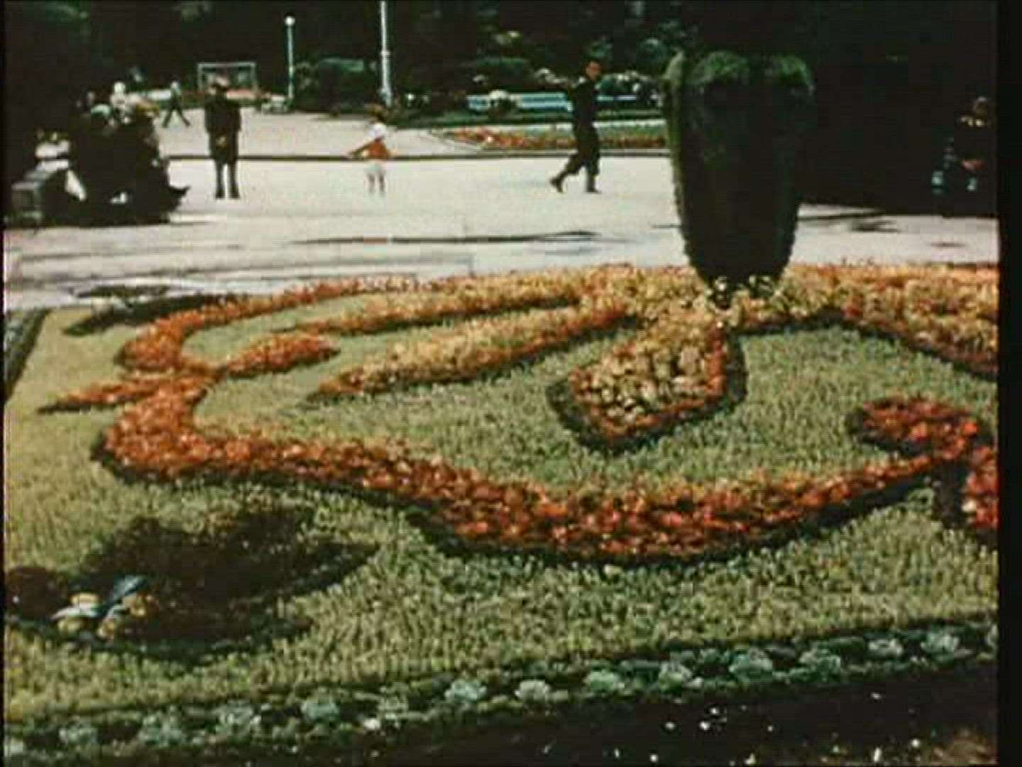 487119312 / Botanical Garden / Park / Yalta / USSR / 1956