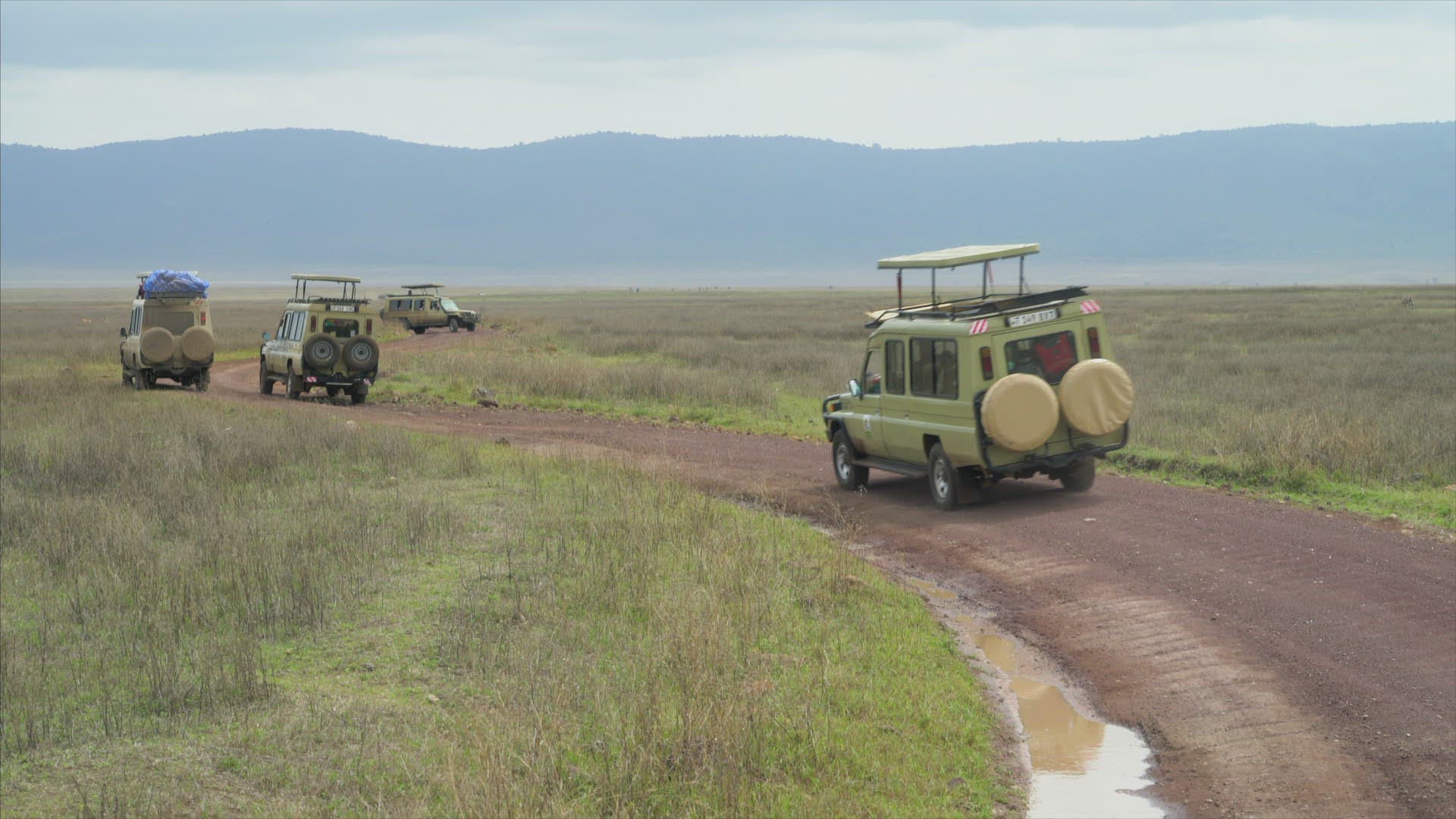 482000361 / Jeep / Safari / Tanzania