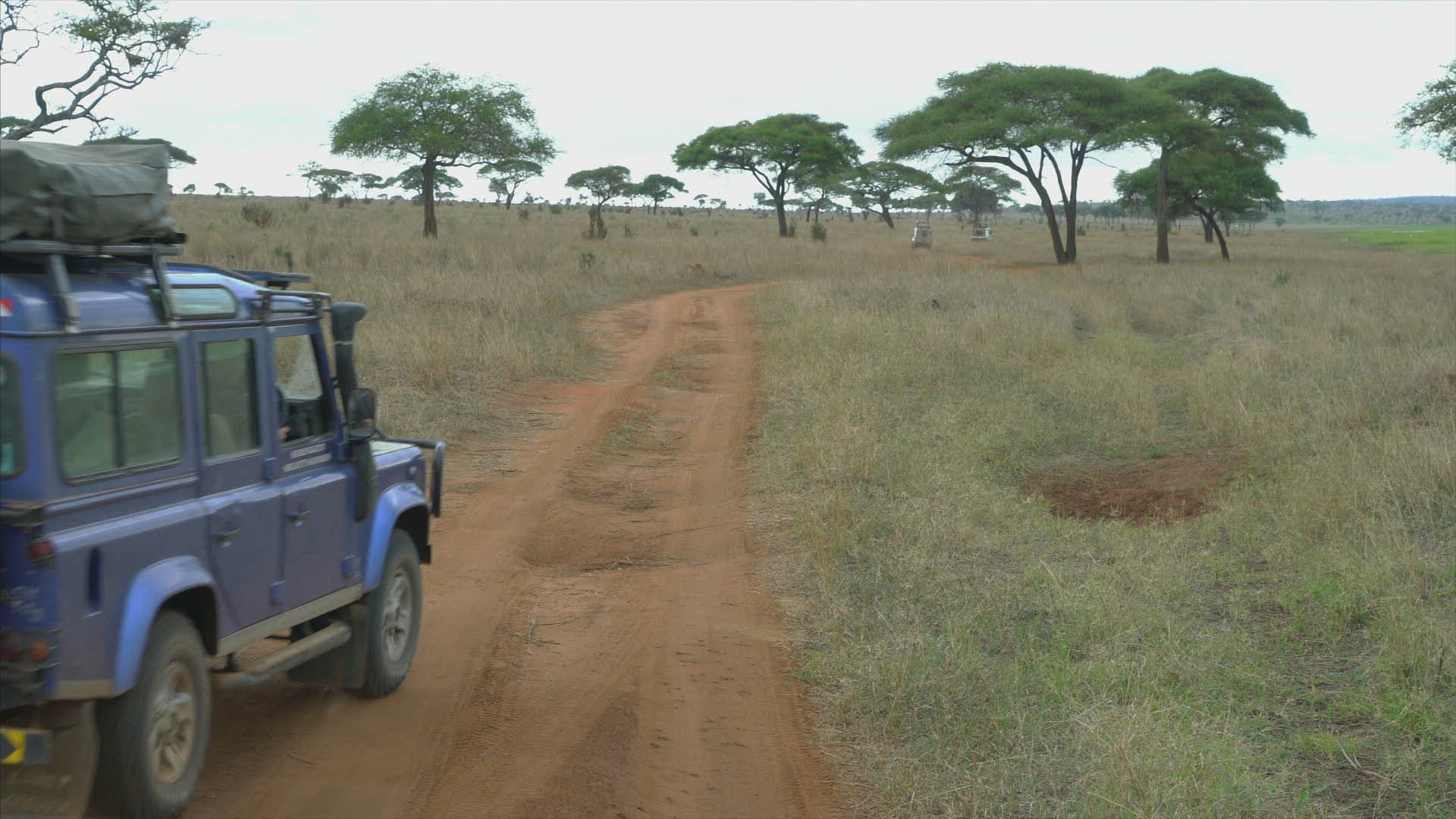 136578790 / Jeep / Safari / Tanzania