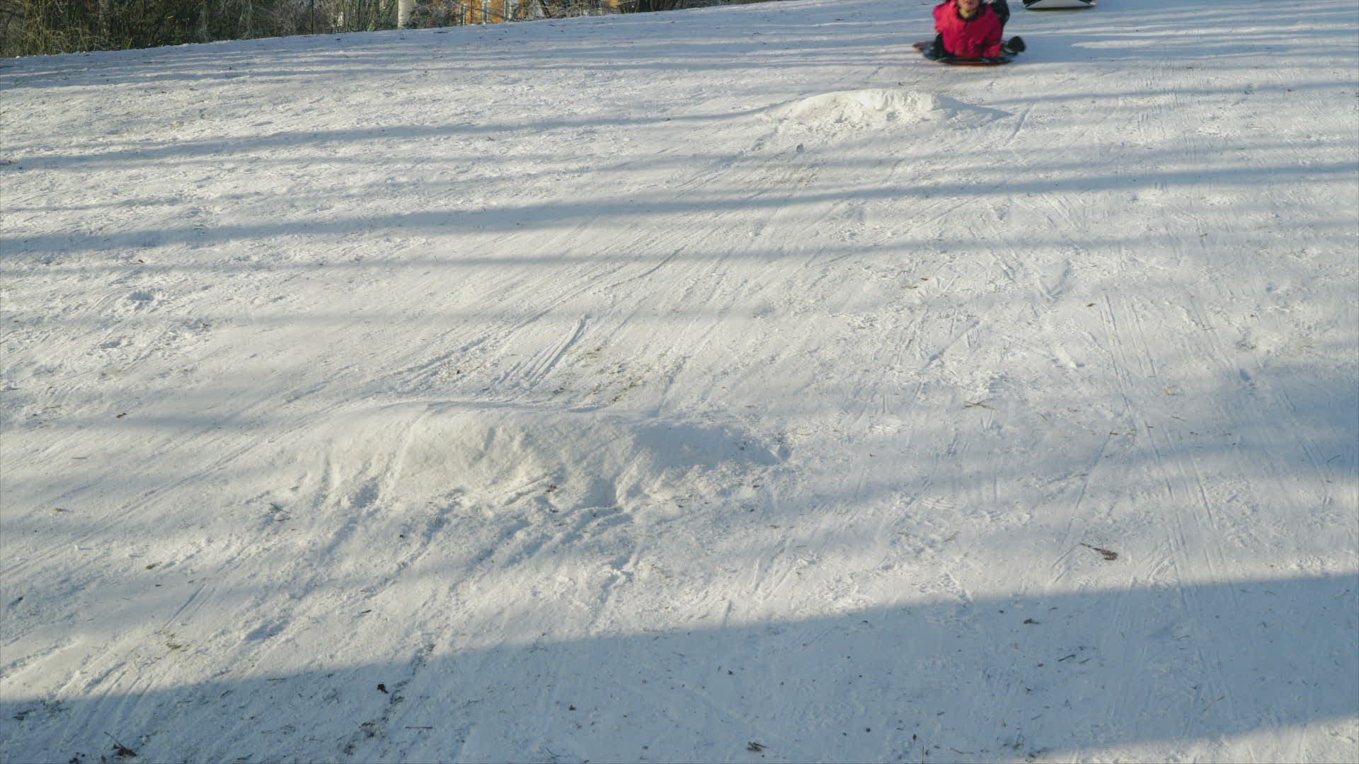 416920308 / Boy / Luging / Winter