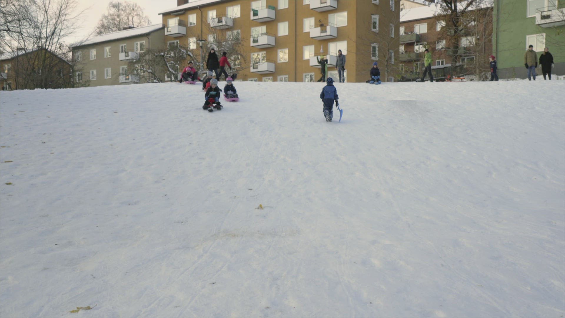 978102827 / Boy / Luging / Winter