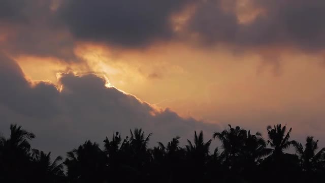 Palms Silhouetted at sunset with dramatic clouds