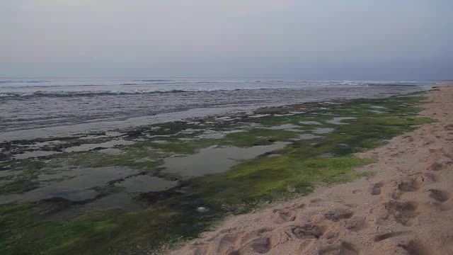 Bali Beach
