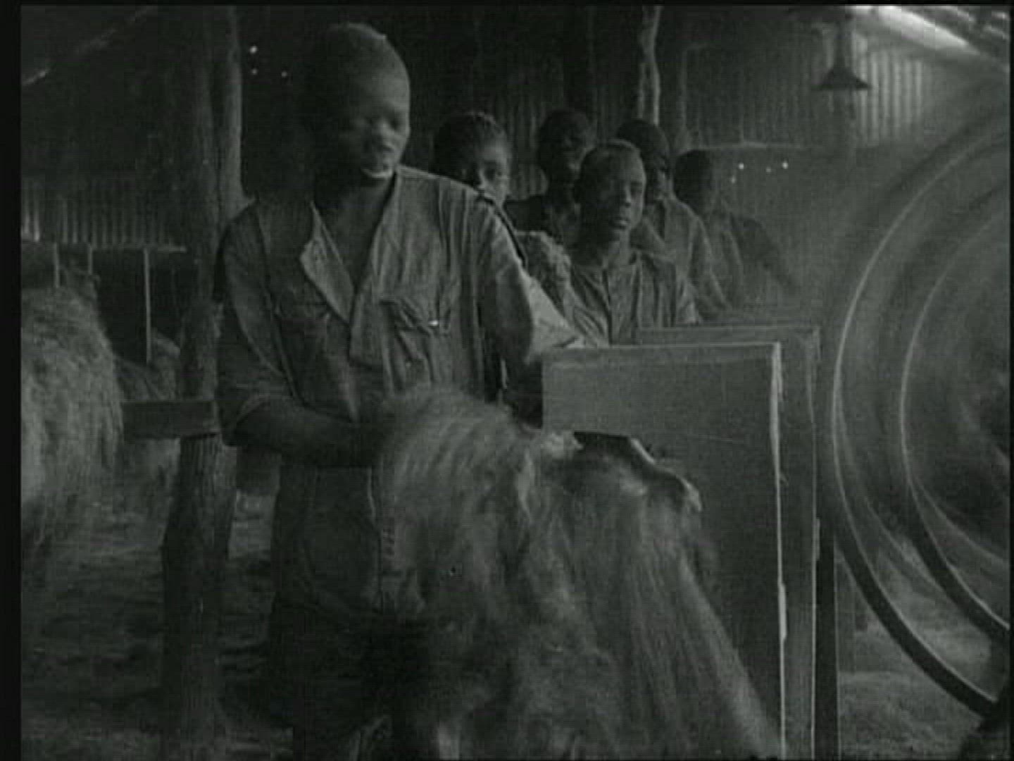 880942531 / Agribusiness / British East Africa / 1919