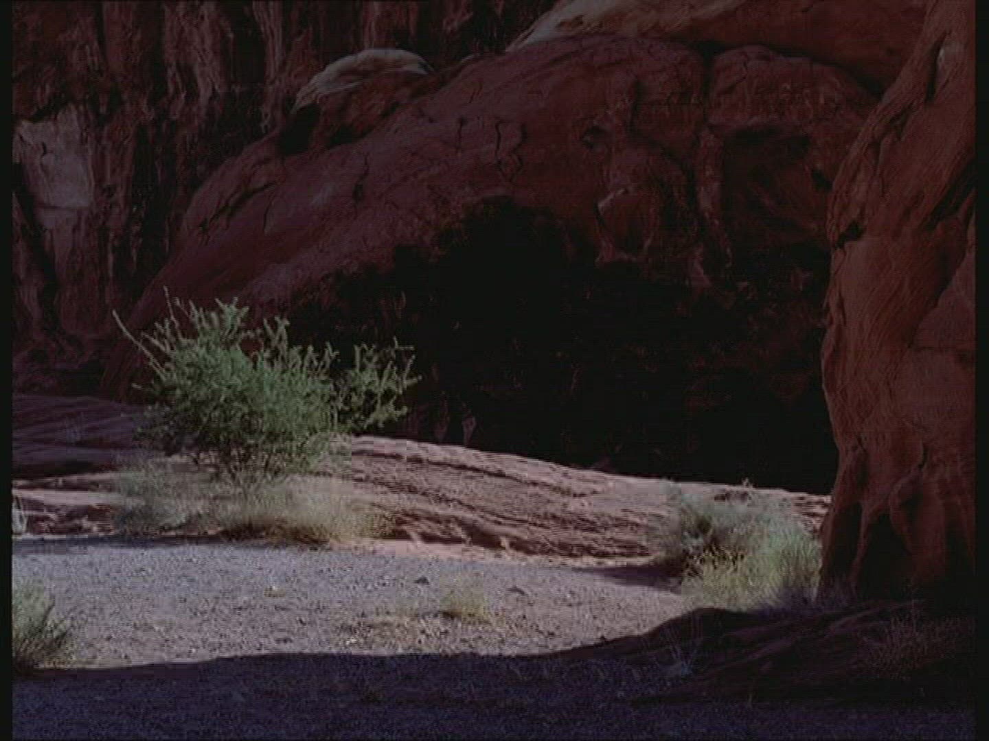 447688339 / Running / Rock / USA
