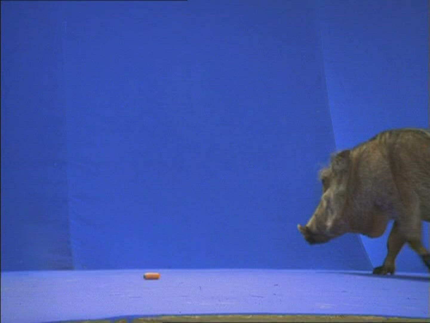 576113070 / Warthog / Compositing