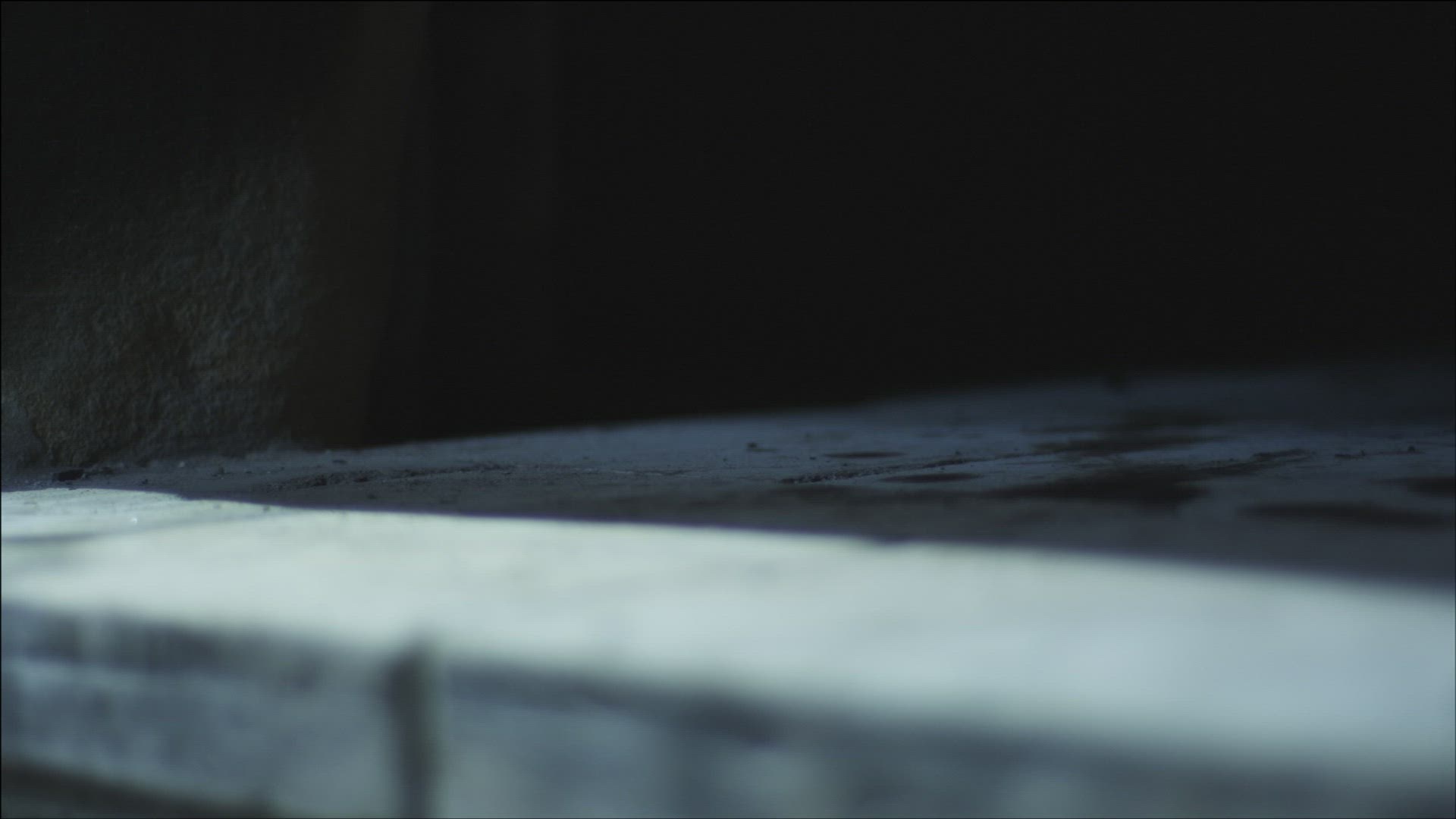 604725345 / Tradition / Freilichtmuseum Ballenberg / Switzerland