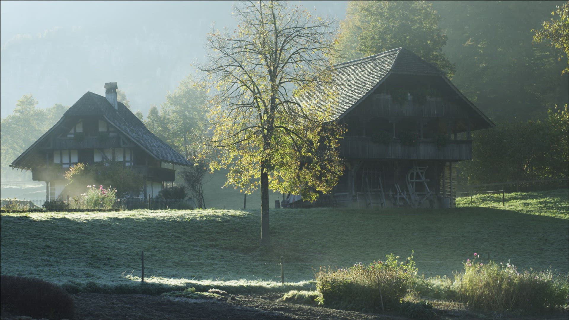 337618397 / Freilichtmuseum Ballenberg / Traditional Architecture / Switzerland