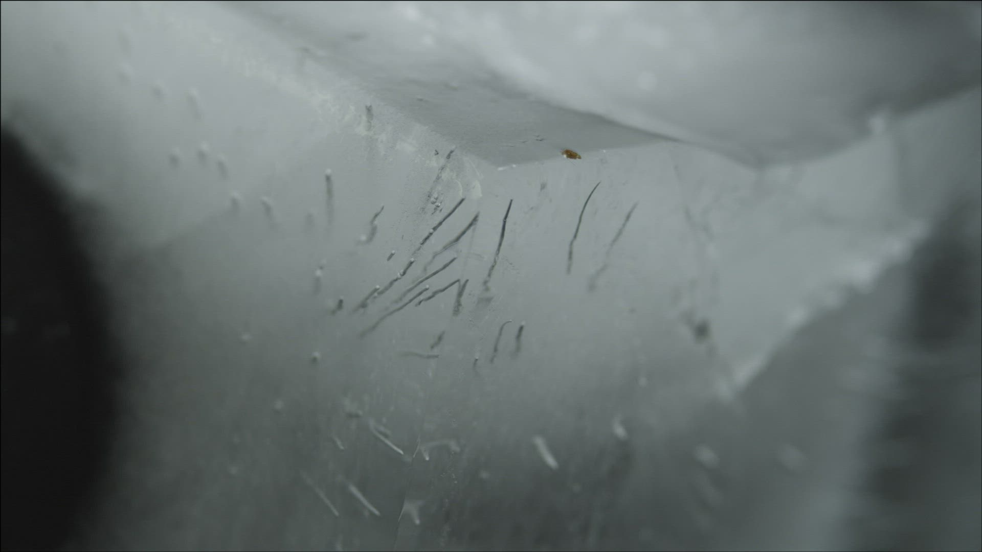 455303661 / Ice Cube / Melting / High Speed