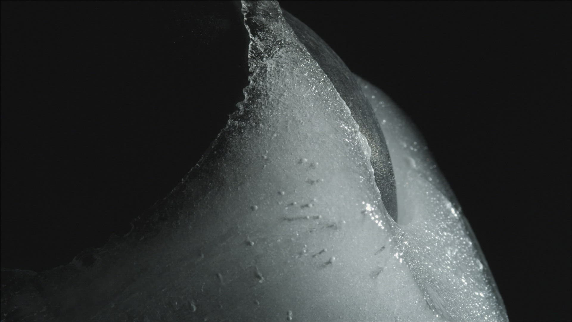429816089 / Ice Cube / Melting / High Speed