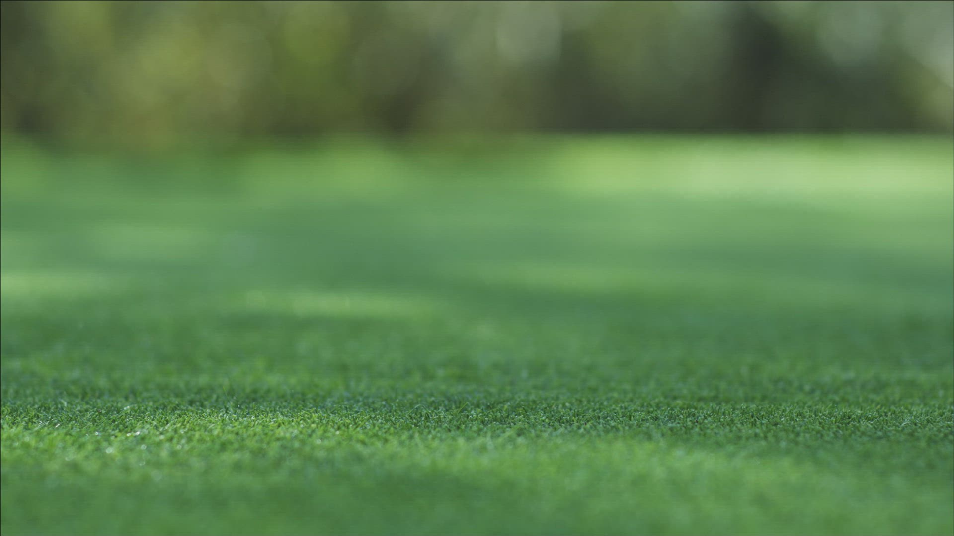 663249642 / Golf Player / Golf / Switzerland