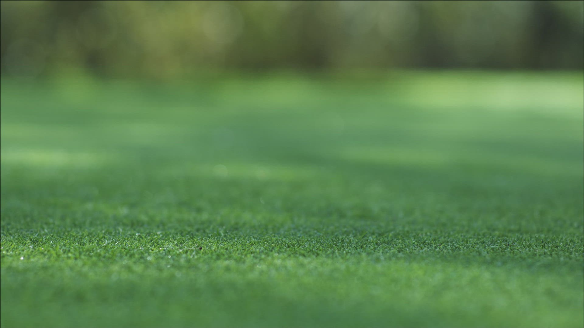 669357991 / Golf Player / Golf / Switzerland