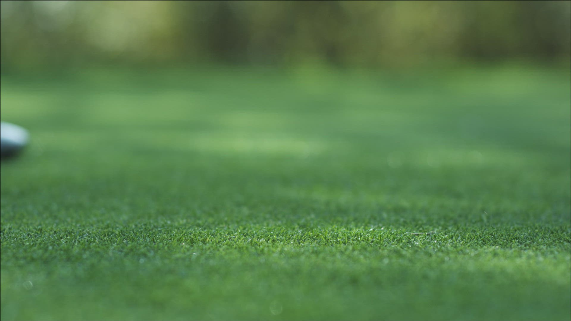 620174075 / Golf Player / Golf / Switzerland