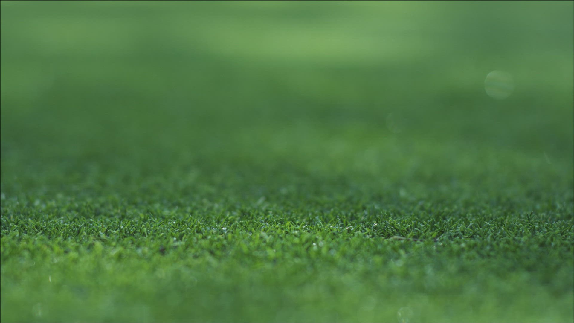 236484001 / Golf Player / Golf / Switzerland