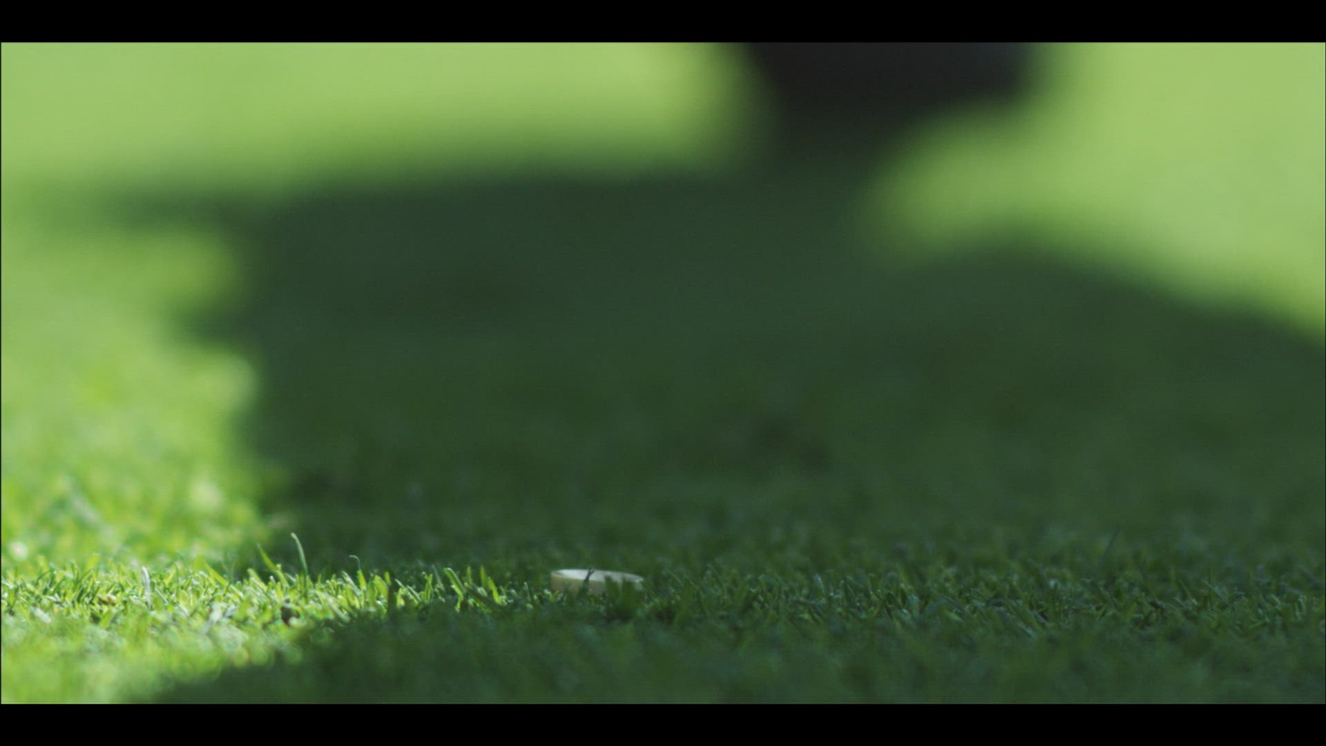 691232675 / Golf Player / Golf / Switzerland
