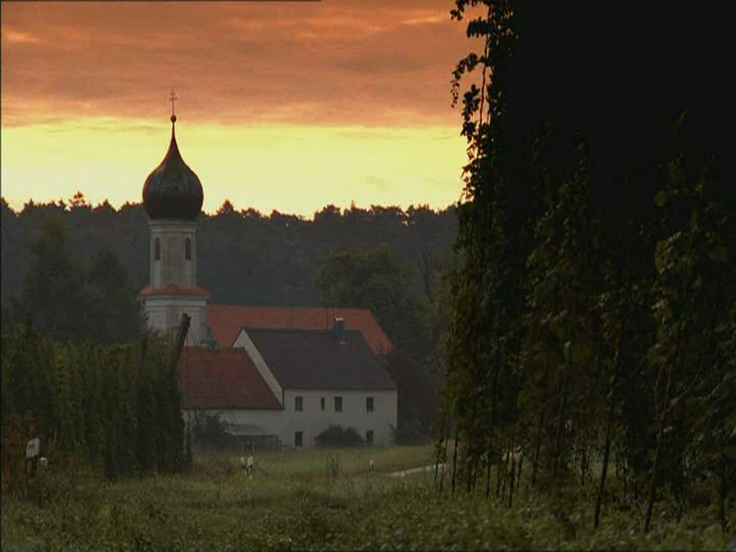 989309265 / Church / Viniculture / South Africa