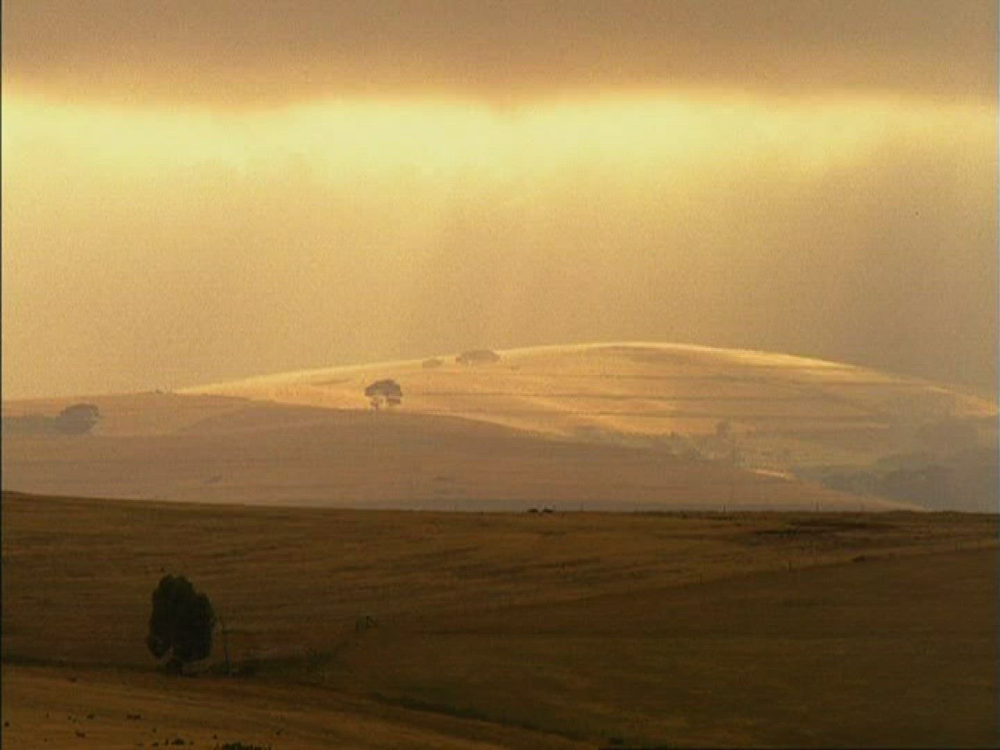 392924732 / Field / Hilly Region / Kenya