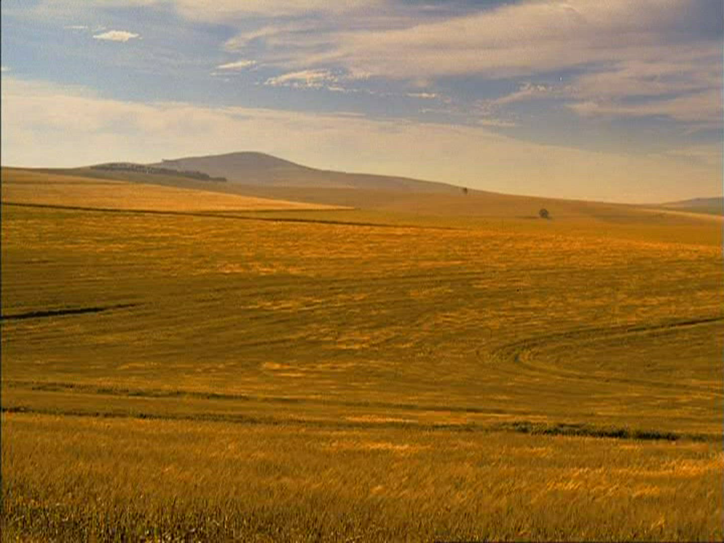 765093301 / Barley Field / Kenya