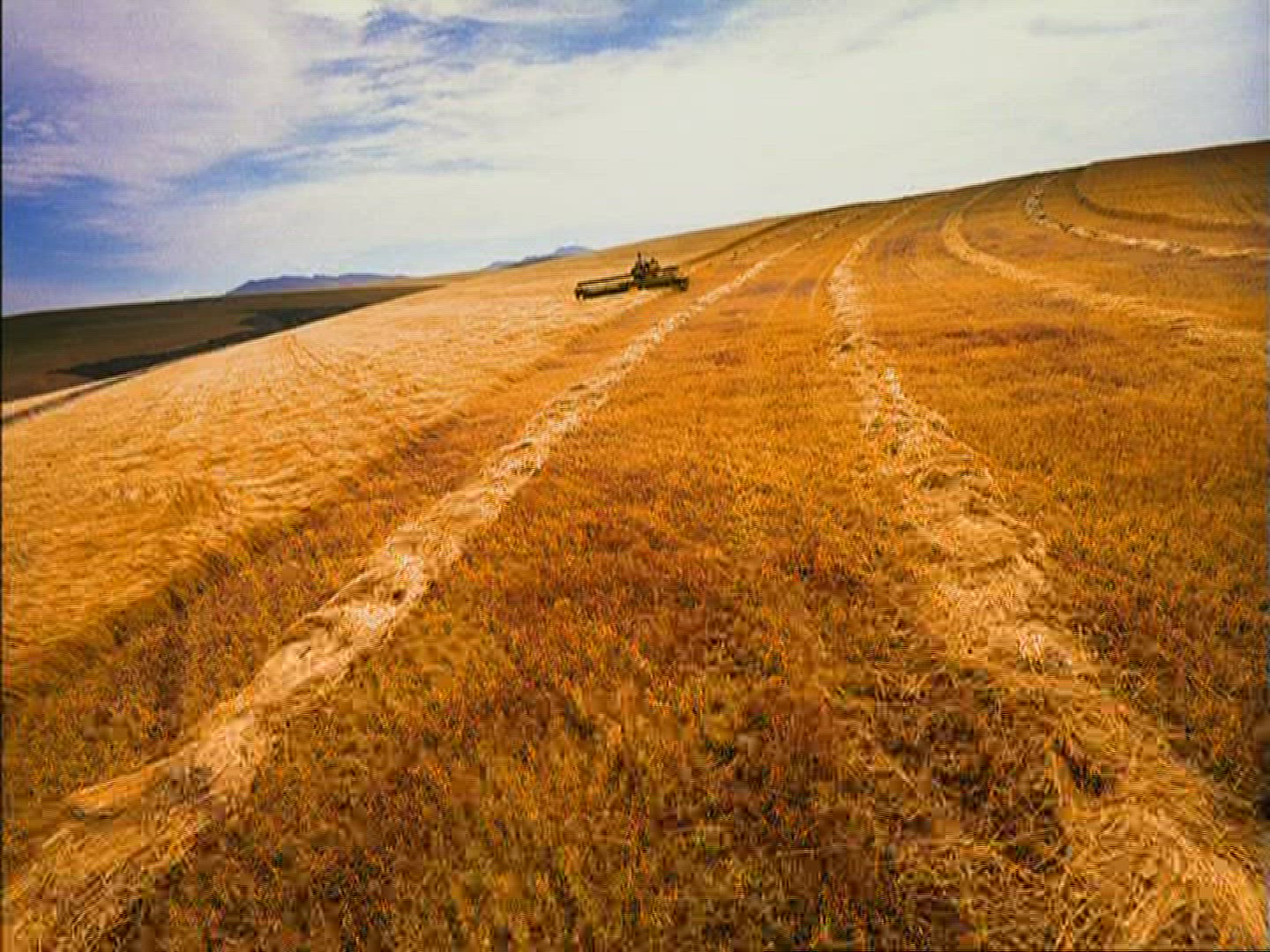 479115811 / Combine Harvester / Harvest / Kenya