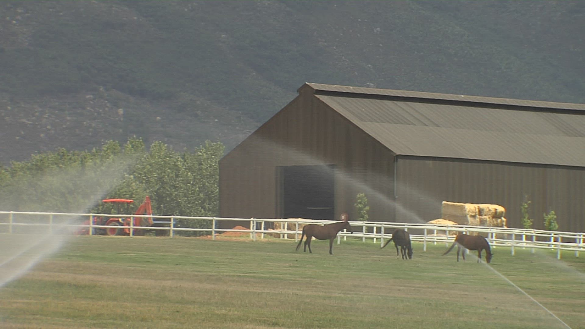 314674441 / Farm / Franschhoek / South Africa