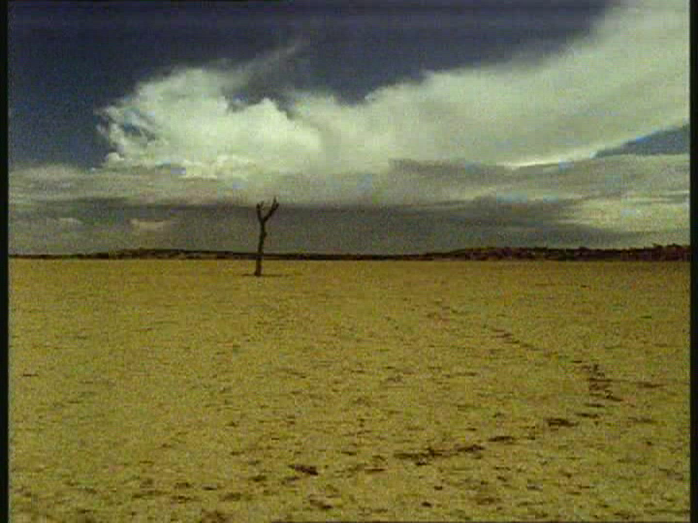 656511801 / Rain / Kalahari / Botswana