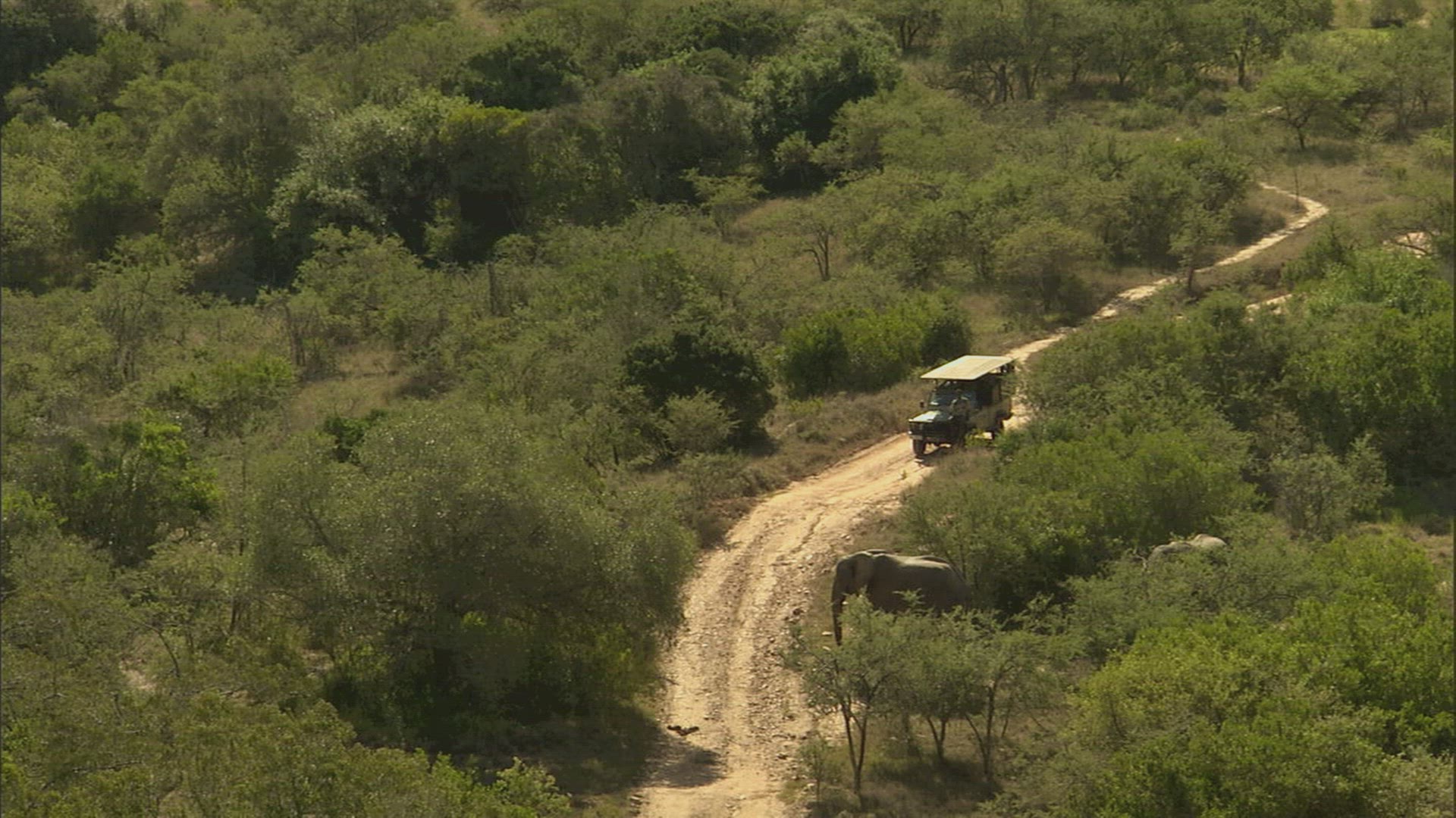 975015007 / Addo Elephant National Park / South Africa