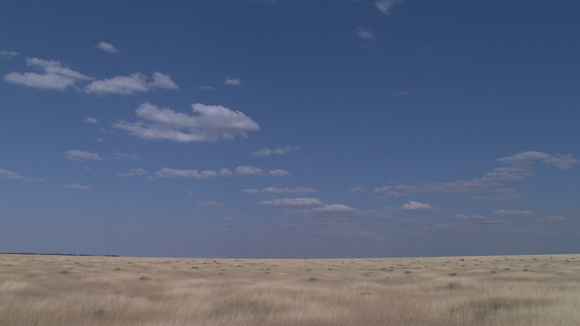 806049752 / Arid Climate / Grassland / Namibia