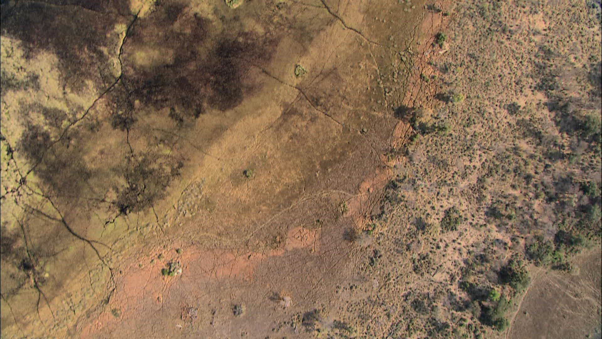 798060271 / Okavango Delta / Botswana