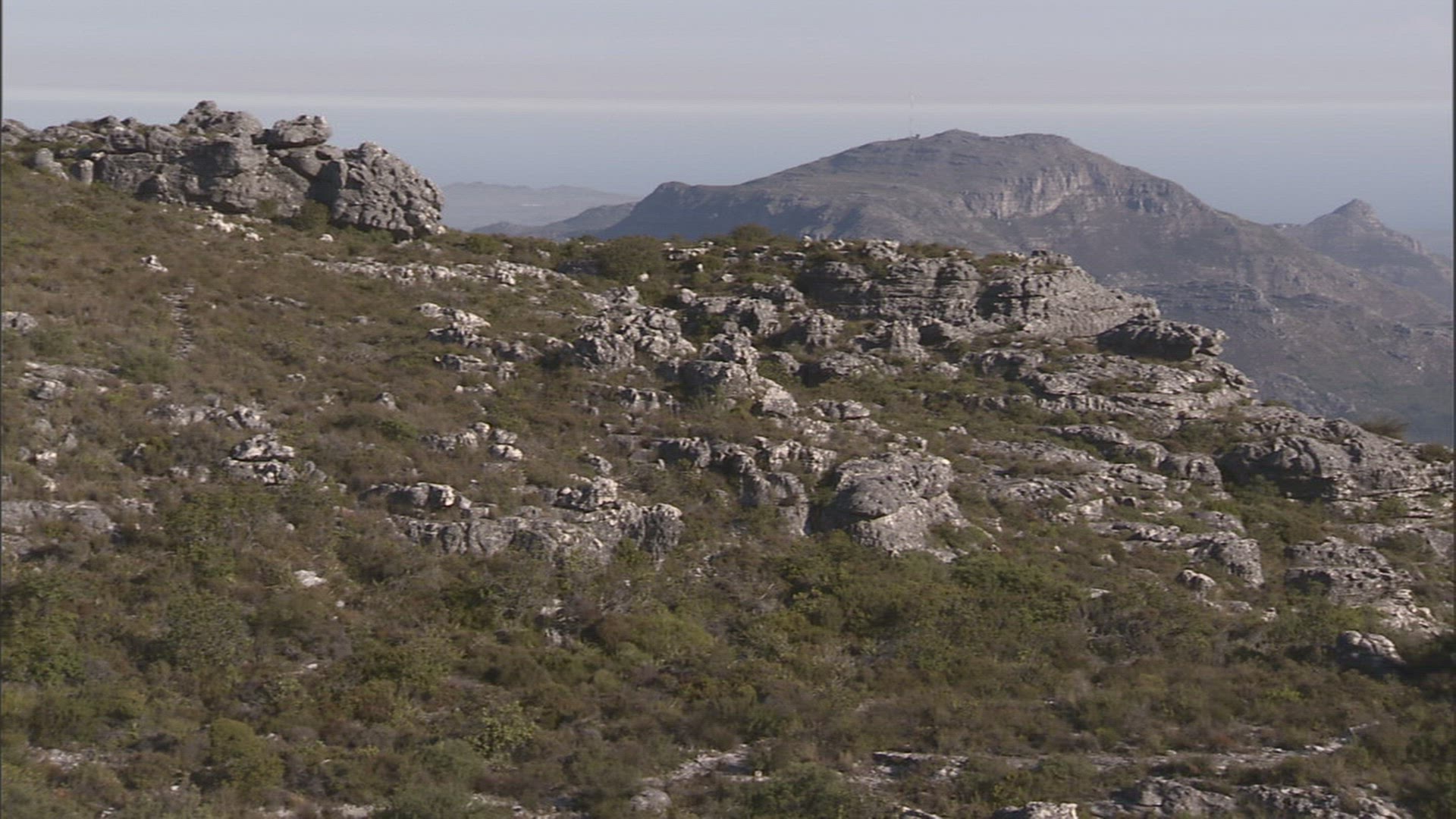 407844060 / Observation Point / Tourist / Table Mountain / South Africa