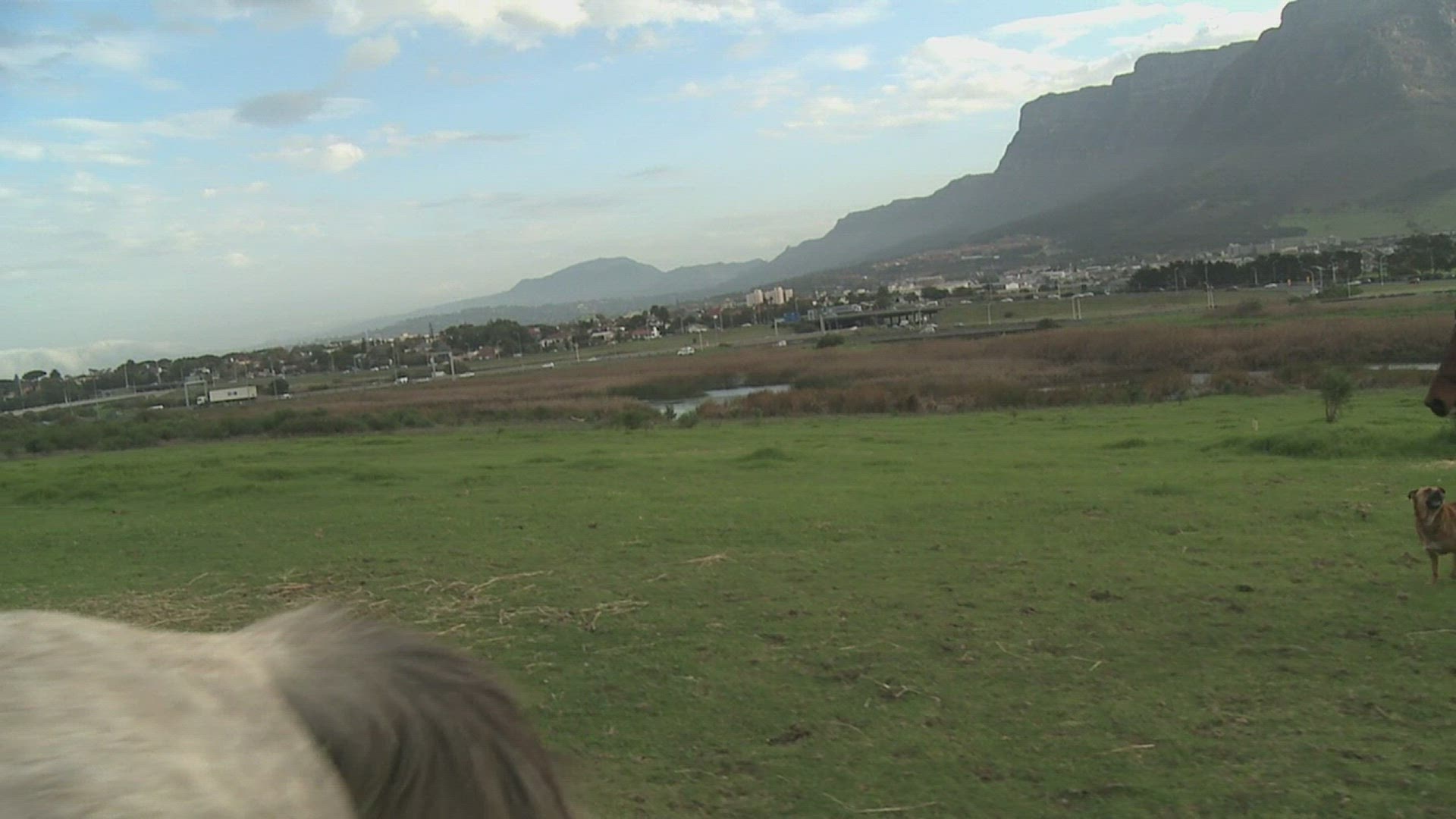 197753129 / People / Horse / Riding / South Africa 197753129 / People / Horse / Riding / South Africa