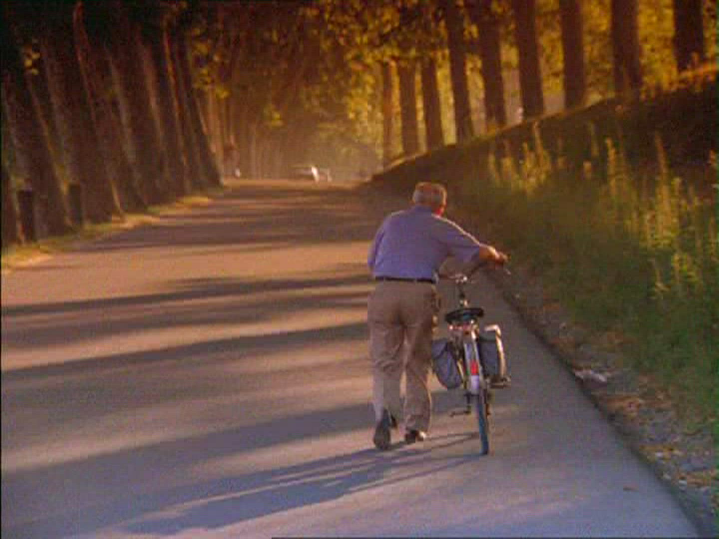 649809006 / Man / Old / Bicycle / Pushing / Italy