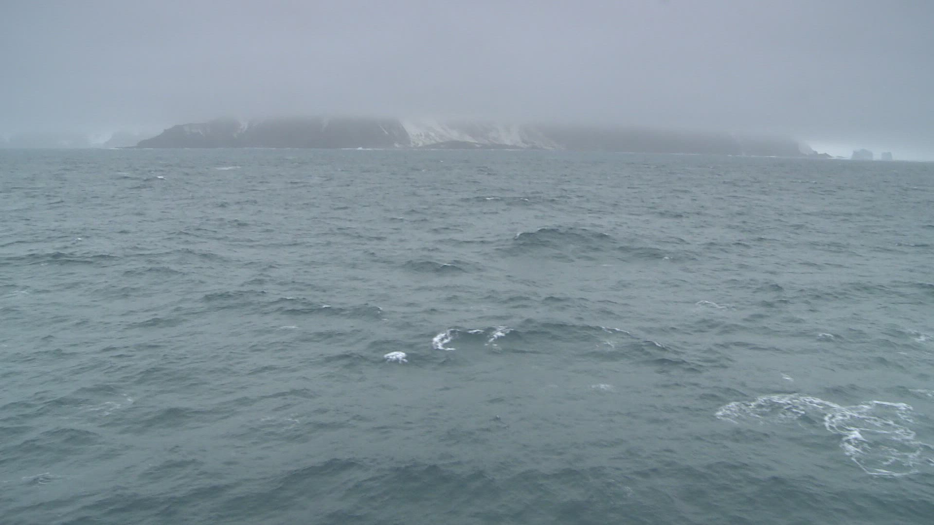 392619086 / January / 392619086 / 392-619-086