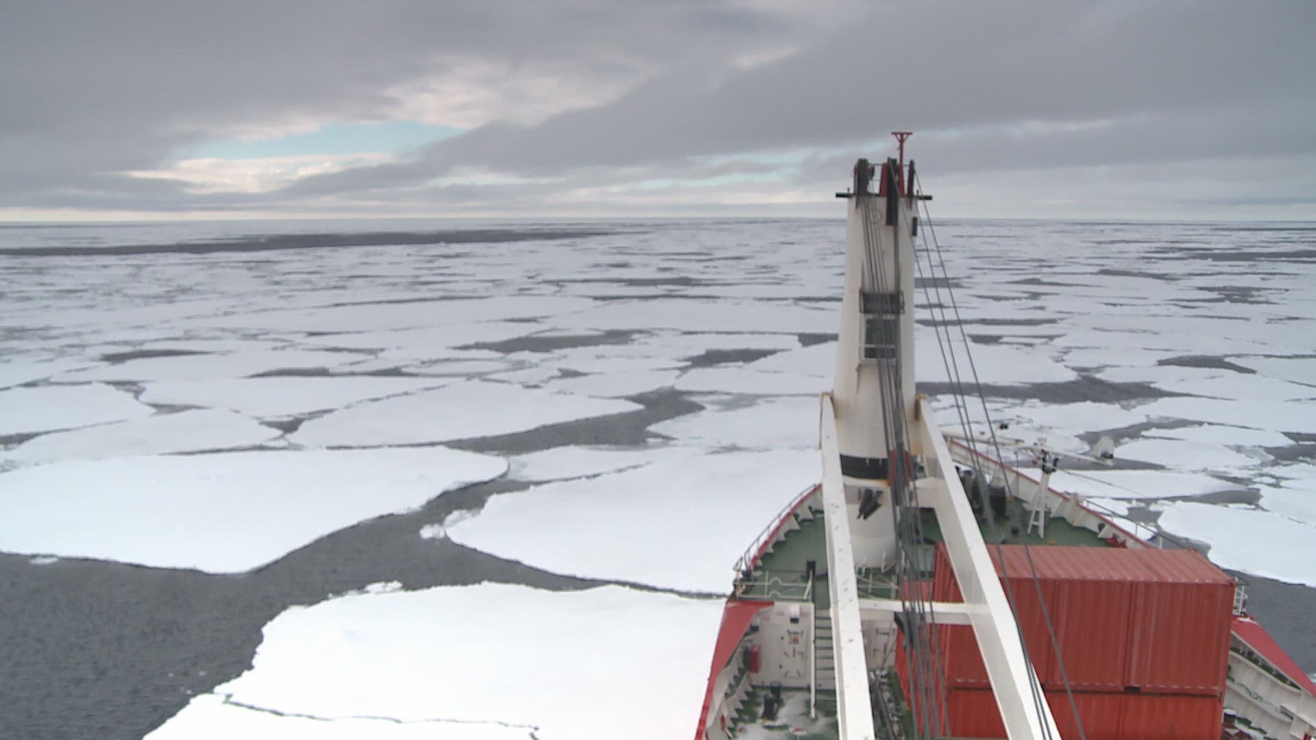 518557689 / January / 518557689 / 518-557-689