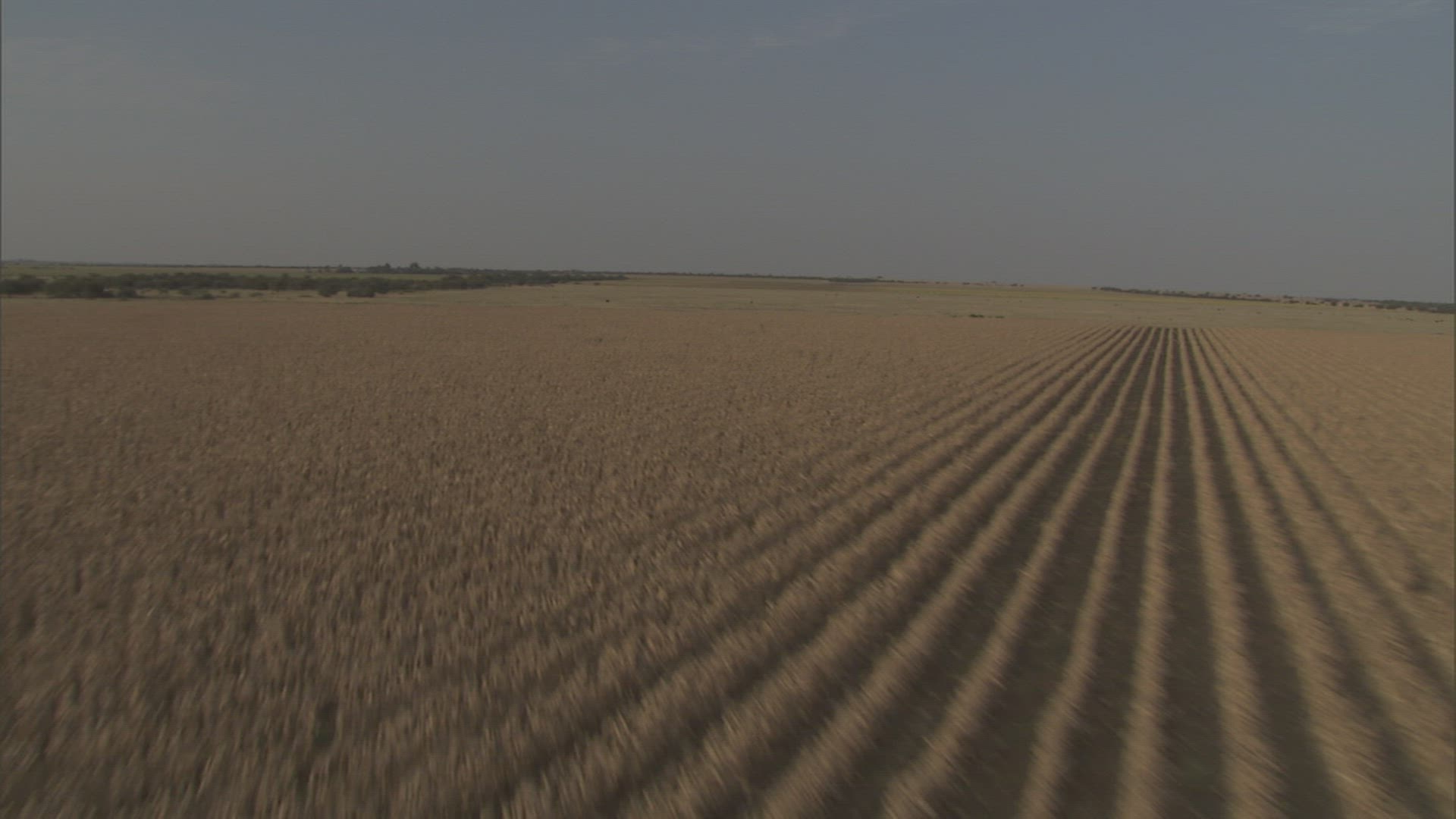 128832192 / Field / Northern Cape / South Africa