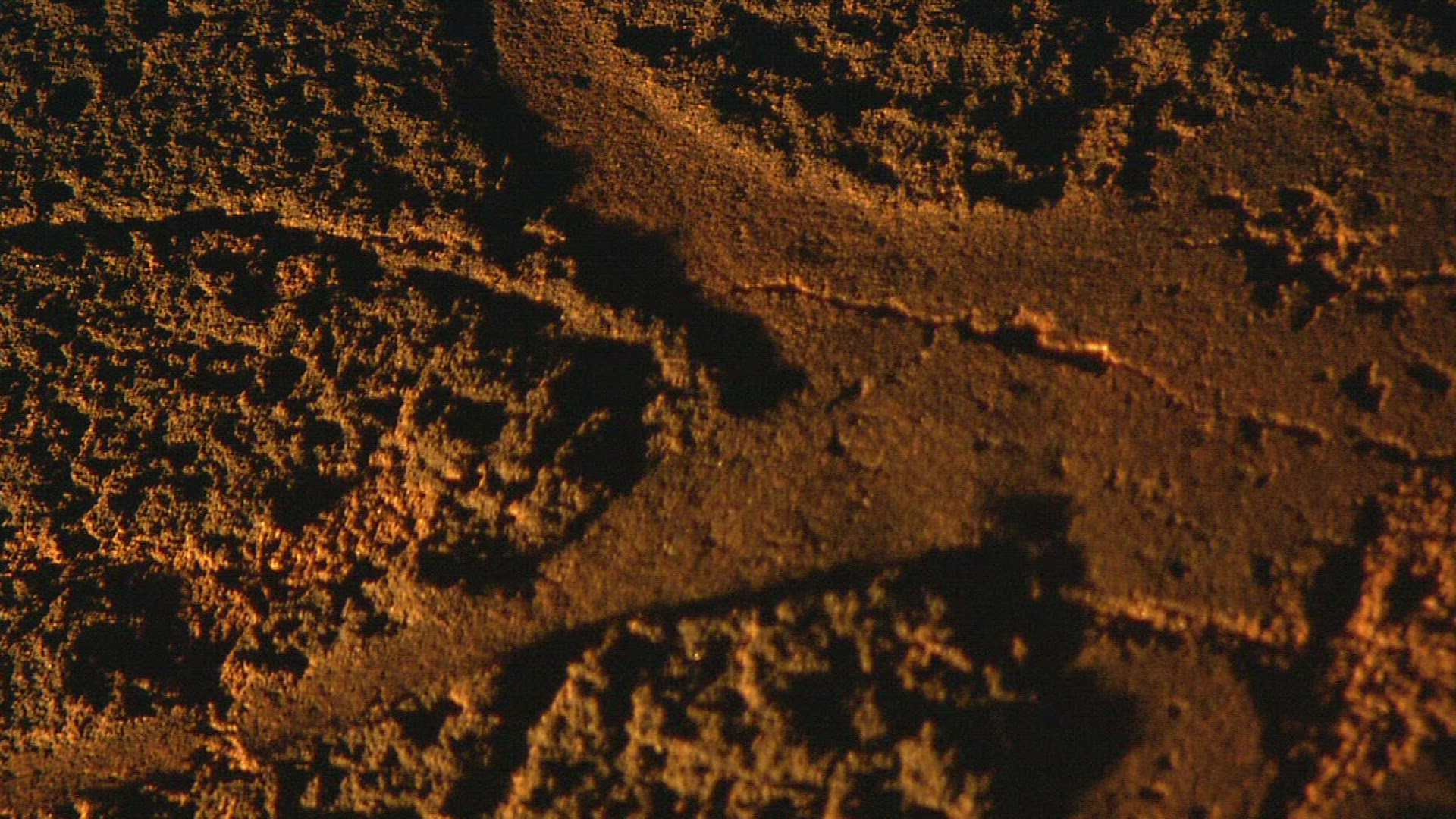 118130184 / Rock Paintings / Ancient Civilization / Africa