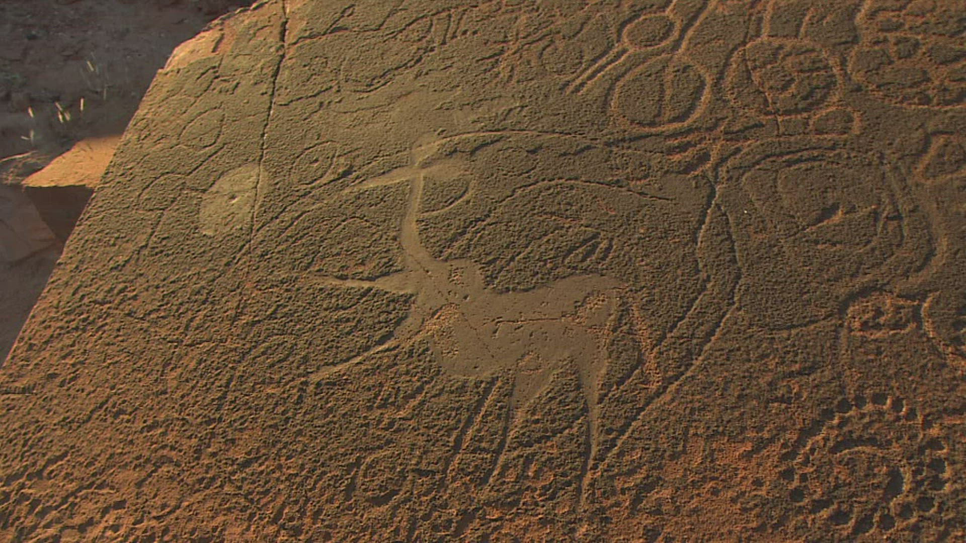 391030817 / Rock Paintings / Ancient Civilization / Africa