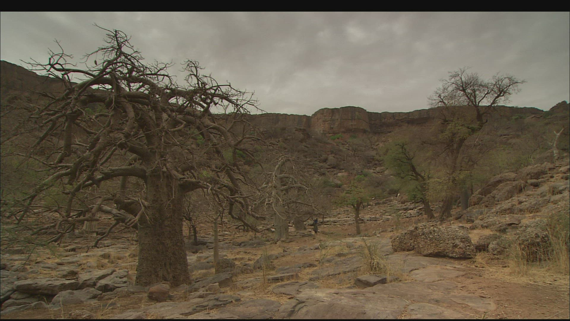 733180292 / Arid Climate / Rocky Landscape / Mali