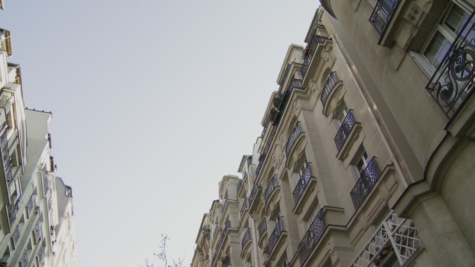 845153621 / January / 845153621 / 845-153-621